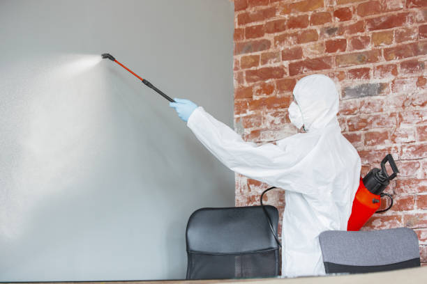 Best Real Estate Mold Inspection  in Winchester, OH