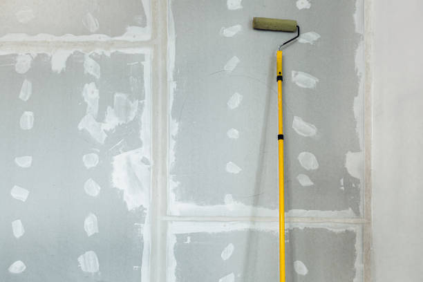 Best Black Mold Removal  in Winchester, OH