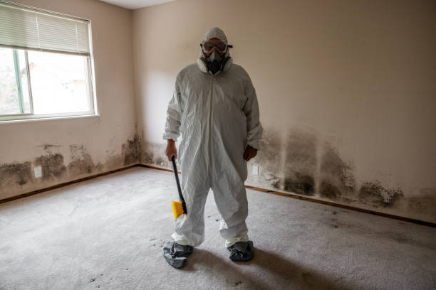Best Commercial Mold Inspection  in Winchester, OH
